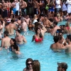 303 Magazine Pool Party Pictures